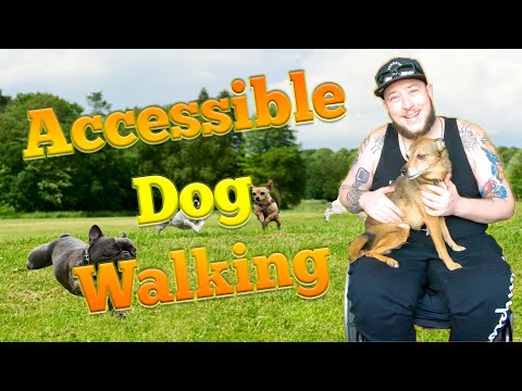 "Walking" Your Dog In A Wheelchair   4K