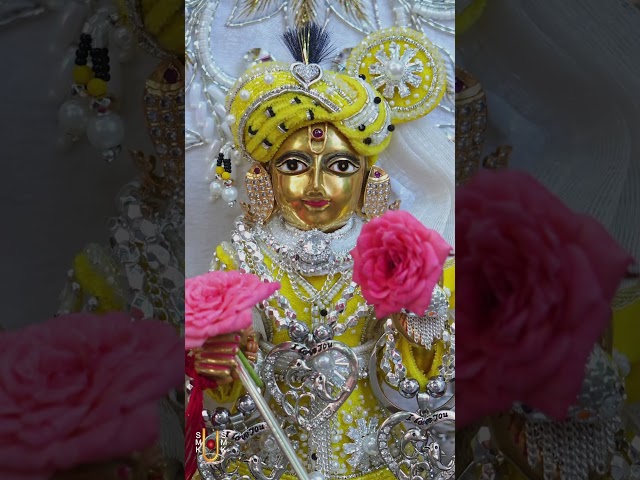 હરિકૃષ્ણ મહારાજ
