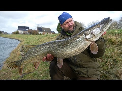 Matze Koch: Telephone terror at the fishing spot - Matze's antics 02-2019