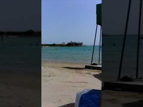 ٥ نوفمبر، ٢٠١٩