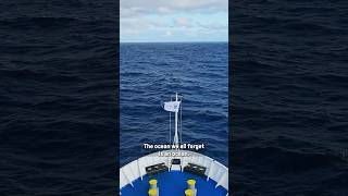 The World's Most Important Ocean? @Storyblocks #ad