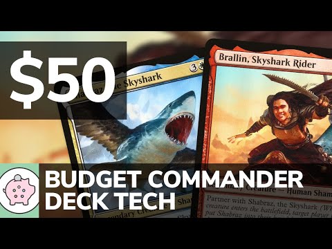 Brallin, Skyshark Rider & Shabraz, the Skyshark | EDH Budget Deck Tech $50 | Wheel | MTG | Commander