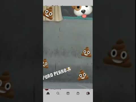 fabian riveros en cana santiago 1 le echan la choria