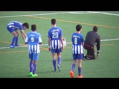 Cão diverte-se com os jogadores 