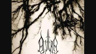 Livets Skygger - Alverg (Eld Album)