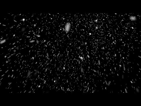 Free Snowfall Overlay | 4K Loop-Ready Winter Snow Video Background