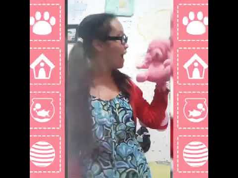 Chiquinha clip peludinho