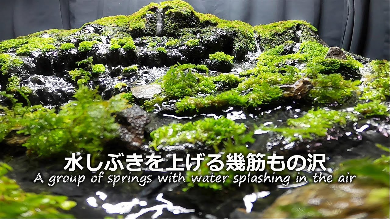 小さな滝と幾筋もの沢のテラリウム