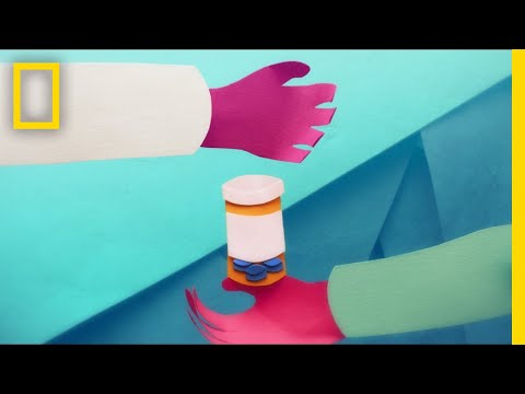 This Is What Happens to Your Brain on Opioids | Short Film Showcase