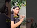 Dicot Examples Morphology In Flowering Plants Riturattewal Neet Neet2024 Neetbiology
