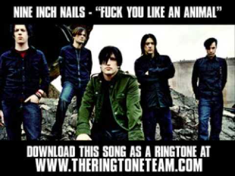Nine Inch Nails - I Wanna Fuck You Like An Animal [ New Video + Lyrics + Download ]