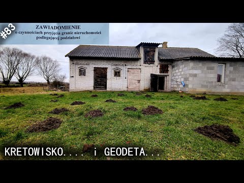 Habitat - reanimation episode 83 "Plot division and a yard full of molehills :/"