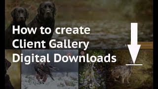 How to create photography client digital downloads - SmugMug