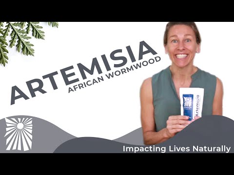 Artemisia - What Is It & How To Use It #UmoyoLife​ 042