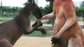 Download lagu kata baba mp3 Download lagu kata baba mp3