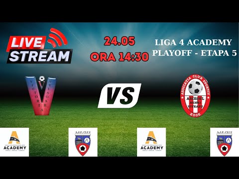 Liga 4 Academy, Playoff: Victoria Viișoara - Arieșul Mihai Viteazu