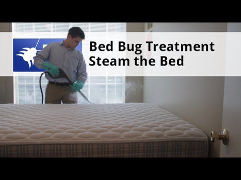  Bed Bug Treat Step 2 Major Pest Guide Video 