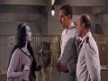 The Munsters Go Home Español Latino