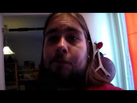 Nyt todellakin paistaa risukasaan 5/5