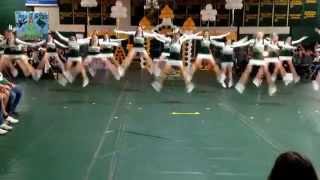 preview picture of video 'Wyoming Area Homecoming 2014 Cheer dance'