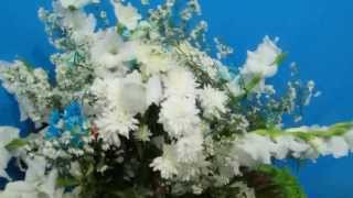 XIX Festa de Marujo Olho Vivo - Samba de Marujo