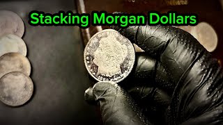 Are Morgan Silver Dollars Worth Stacking in 2026 