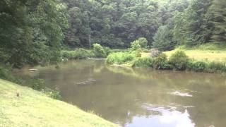 preview picture of video 'Kayaking on New River in Western North Carolina'