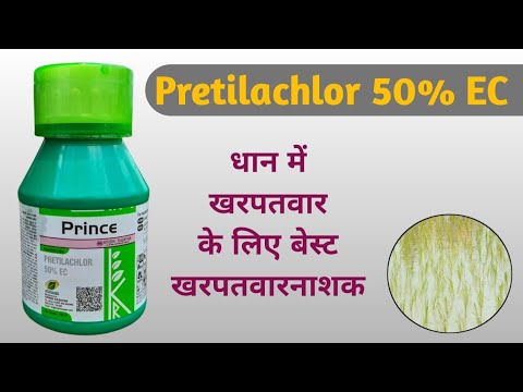 Erase Pretilachlor 50% Ec Herbicide