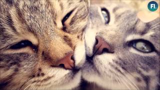 Audialist - Keep Turning