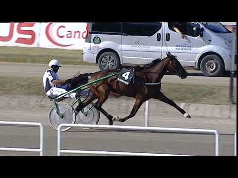 Napoli Trotto 15/09/2023 - 3ª corsa