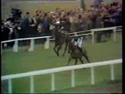 1973 King George VI Chase