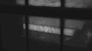 Max Richter-The Road Is A Grey Tape