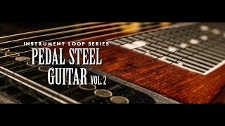 Video thumbnail for Pedal Steel Guitar 2 - Inside Video by Image Sounds by Image Sounds