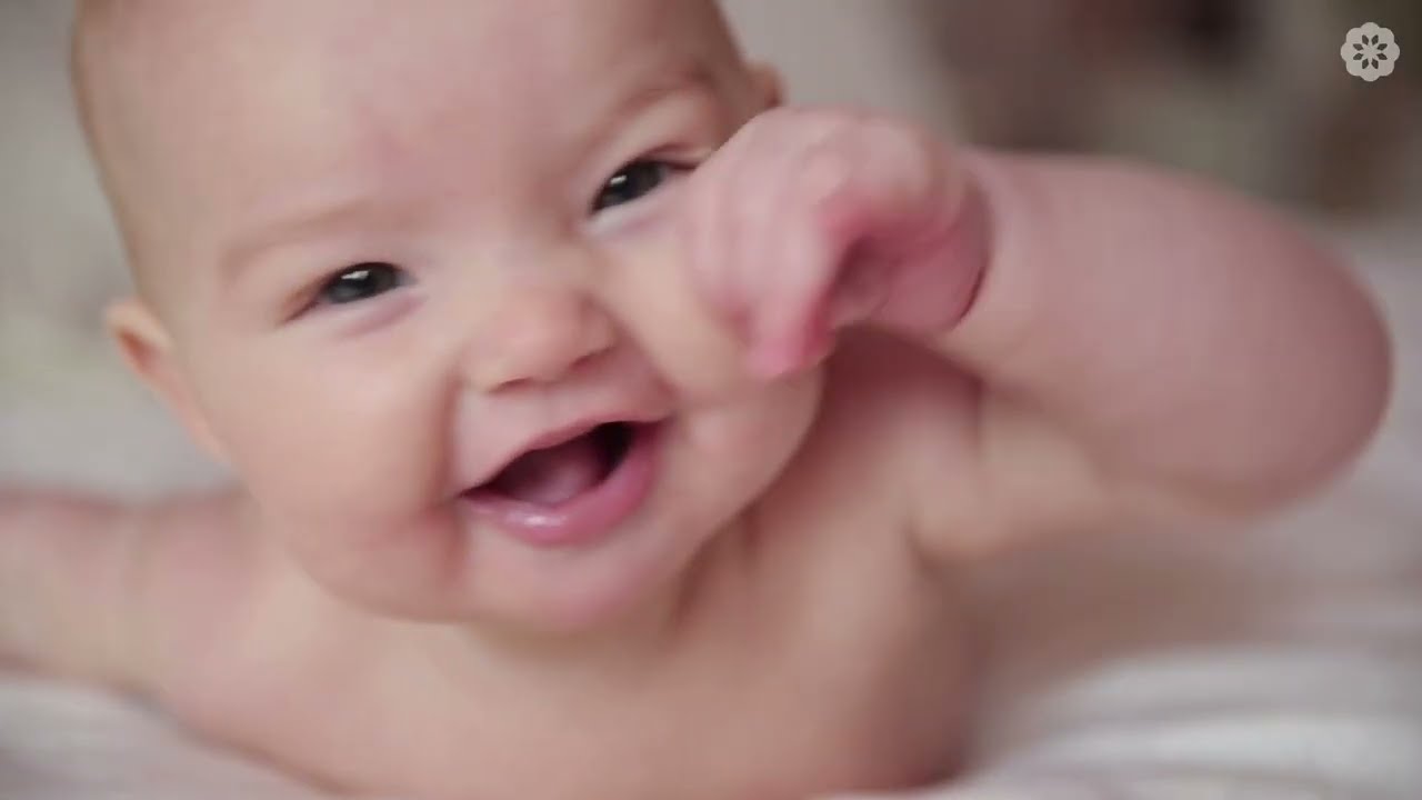 Video manifesto Almaa