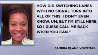 SANDRA BLAND: Chaos & Confusion. Why her actions led to her arrest and death.