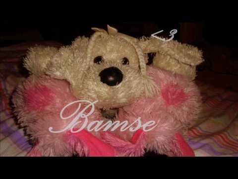 Exterminal - miss you.