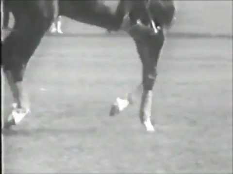 download lagu mp3 mp4 Otto Neckermann, download lagu Otto Neckermann gratis, unduh video klip Otto Neckermann