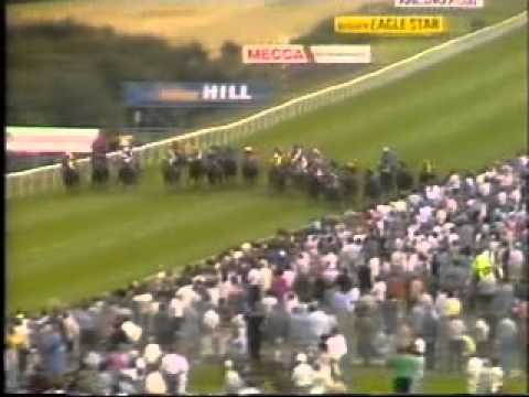 Horse Racing 1987 Stewards Cup Handicap Goodwood. Madraco