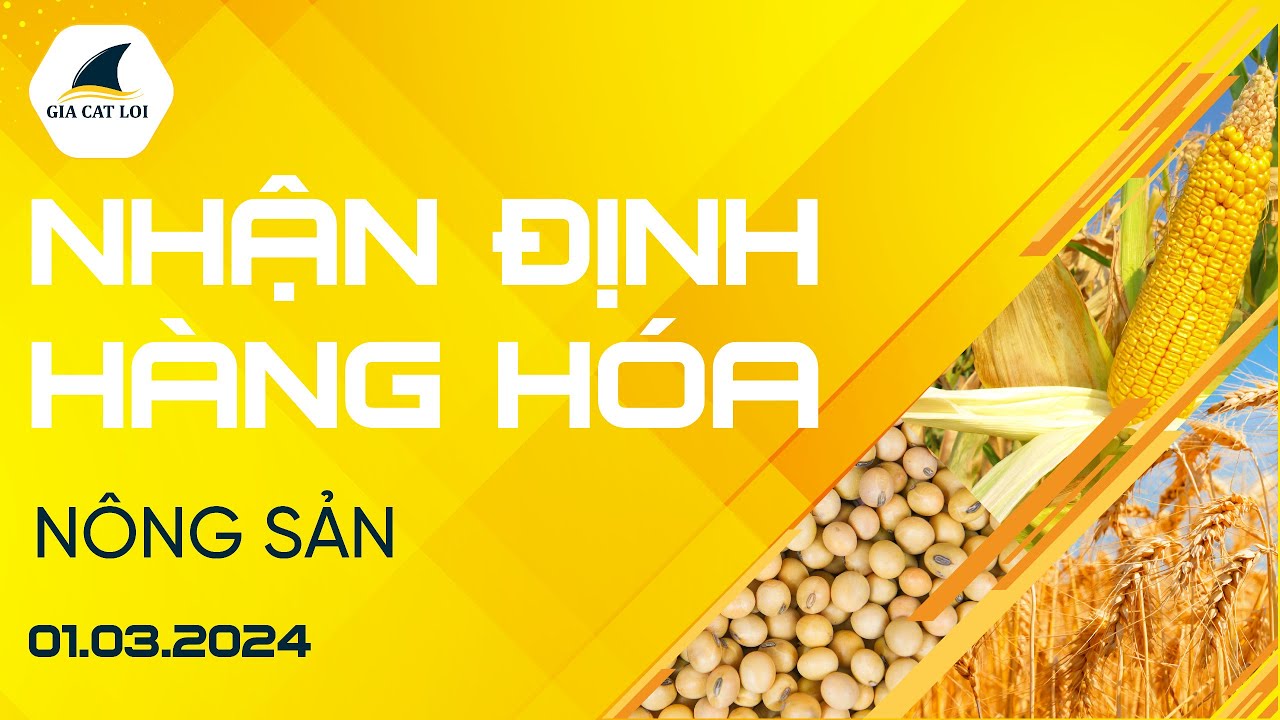 Nhận Định Hàng Hoá Nông Sản Ngày 01/03/2024