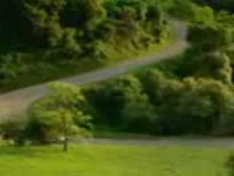 Pierroz’s Video 1291672842 NDdqb3m7nPE