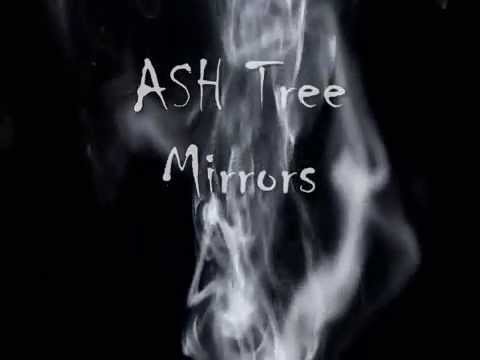 Ash Tree - Mirrors