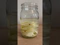 How to Make Homemade Salt & Vinegar Chips