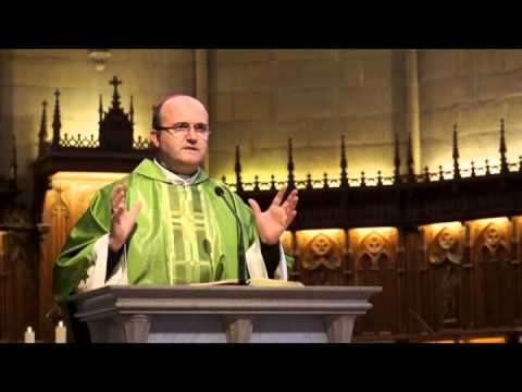 Homilía 2014-07-13 Mons Munilla Domingo 15º del Tiempo Ordinario