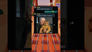 Vovó no Google!👵🏻 - Ep.13 - Remake