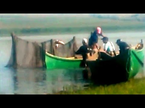 Pescuit baraj Manjesti Vaslui - recoltare de peste la navod