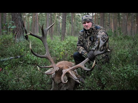 Trailer Hirschjagd an der Elbe – Der Kronprinz aus Gartow