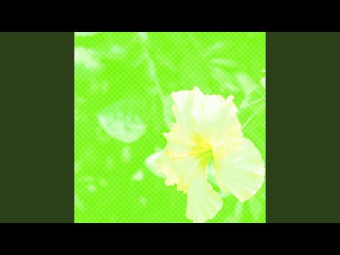 I'm In Heaven Afternoon