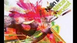 Nalin Inc. - African Harvest (G.I.T.S. Edit)