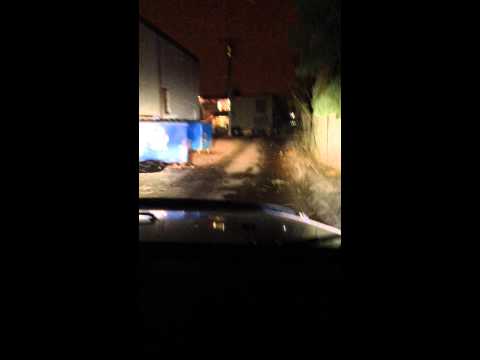 Rigid Industries Dually D2 LED's