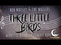 THREE LITTLE BIRDS-Bob Marley & The Wailers (Acoustic Karaoke/Female Key)